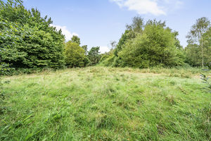 Photo 24- click for photo gallery